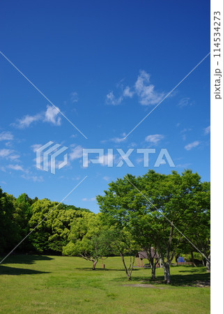鮮やかな新緑の公園「四日市南部丘陵公園・南ゾーン」 鮮やかな新緑の公園「四日市南部丘陵公園・南ゾーン」 114534273