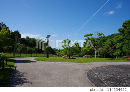 鮮やかな新緑の公園「四日市南部丘陵公園・南ゾーン」 114534432