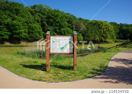 鮮やかな新緑の公園「四日市南部丘陵公園・南ゾーン・ビオトープ」 鮮やかな新緑の公園「四日市南部丘陵公園・南ゾーン・ビオトープ」 114534550