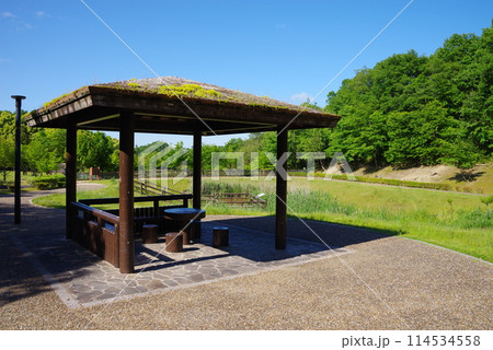 鮮やかな新緑の公園「四日市南部丘陵公園・南ゾーン・ビオトープ」 鮮やかな新緑の公園「四日市南部丘陵公園・南ゾーン・ビオトープ」 114534558
