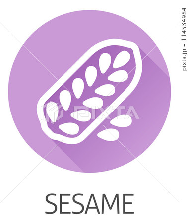 Sesame Seed Capsule Pod Food Allergen Icon Concept Sesame Seed Capsule Pod Food Allergen Icon Concept 114534984