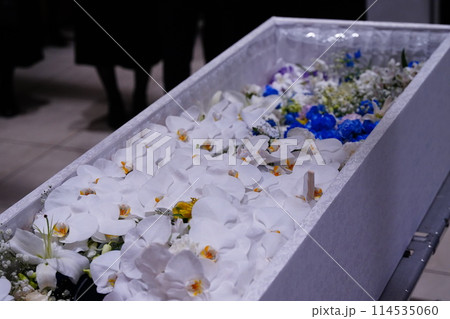 胡蝶蘭でいっぱいのお棺 胡蝶蘭でいっぱいのお棺 114535060