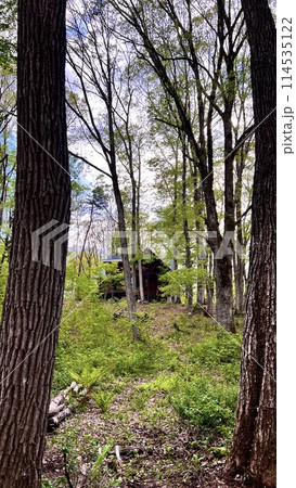 【長野県 信濃町】黒姫高原 大学村から見た新緑の山荘 【長野県 信濃町】黒姫高原 大学村から見た新緑の山荘 114535122