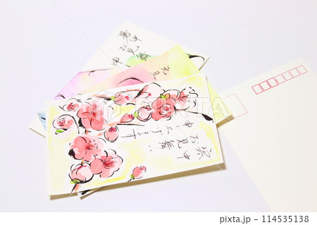 【絵手紙】葉書・イメージ画像（白背景・コピースペース・シンプル） 114535138