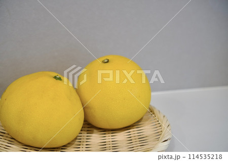 土佐文旦 土佐文旦 114535218