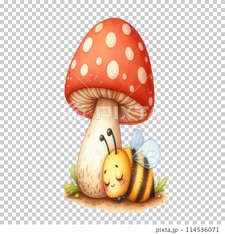 Bee on mushroom 114536071
