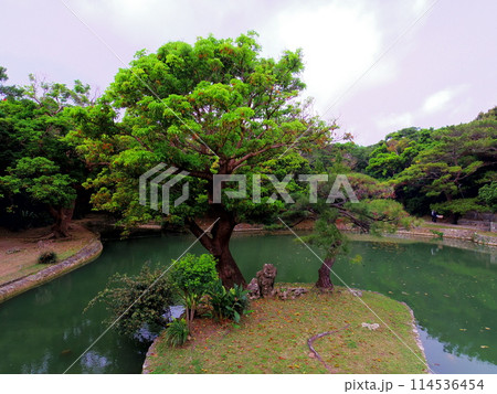 識名園(沖縄県那覇市) 識名園(沖縄県那覇市) 114536454