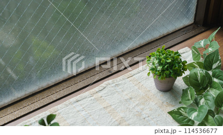 窓の結露 114536677