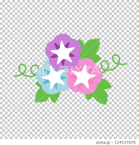 朝顔のベクターイラスト 114537079