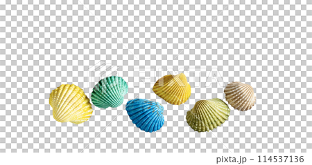 colorful shells colorful shells 114537136