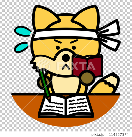 狐狸學習 狐狸學習 114537574