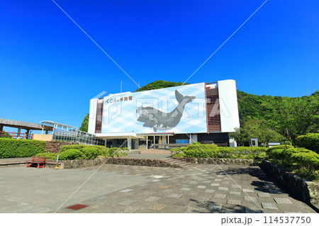 【和歌山県】快晴の太地町立くじらの博物館 114537750