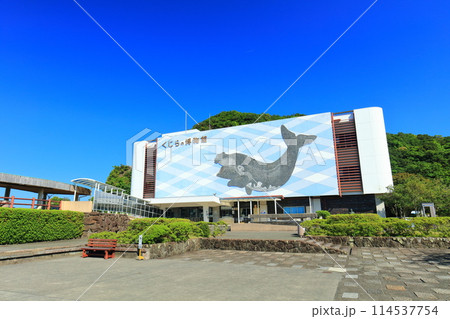 【和歌山県】快晴の太地町立くじらの博物館 114537754