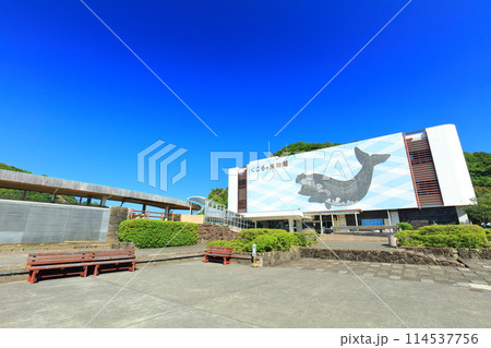 【和歌山県】快晴の太地町立くじらの博物館 【和歌山県】快晴の太地町立くじらの博物館 114537756