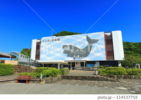【和歌山県】快晴の太地町立くじらの博物館 【和歌山県】快晴の太地町立くじらの博物館 114537758