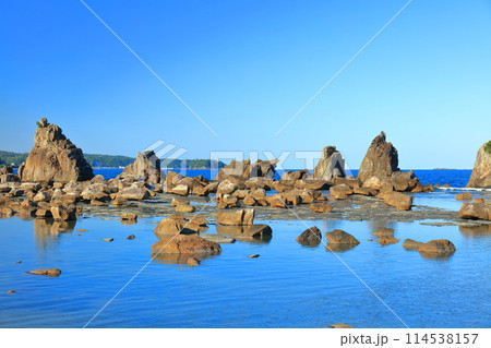 【和歌山県】快晴の潮岬の橋杭岩（紀伊半島） 114538157