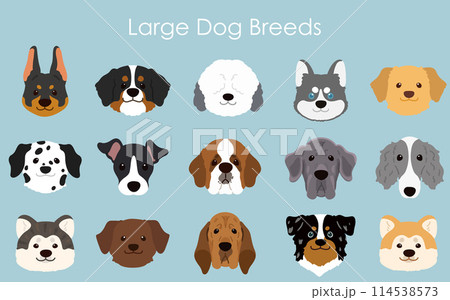 シンプルで可愛い大型犬の顔のイラストセット 主線なし シンプルで可愛い大型犬の顔のイラストセット 主線なし 114538573