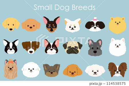 シンプルで可愛い小型犬の顔のイラストセット　主線なし 114538575