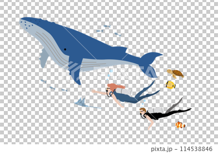 水肺潛水 水肺潛水 114538846