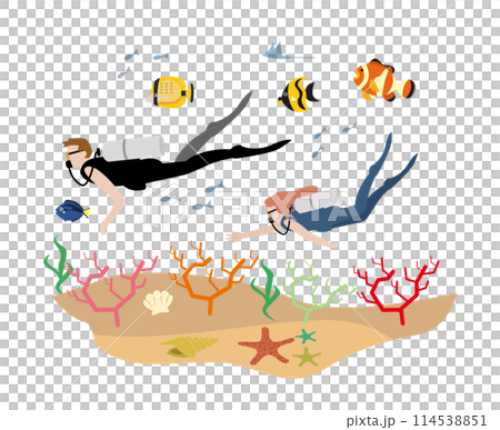 スキューバダイビング 114538851