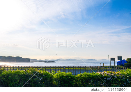 江ノ島から見えるの風景 江ノ島から見えるの風景 114538904
