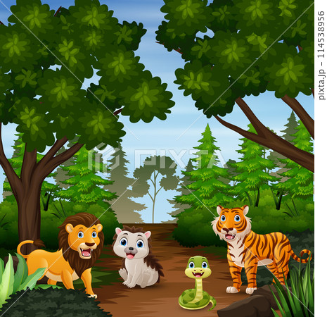 Cute wild animals cartoon in the jungle Cute wild animals cartoon in the jungle 114538956