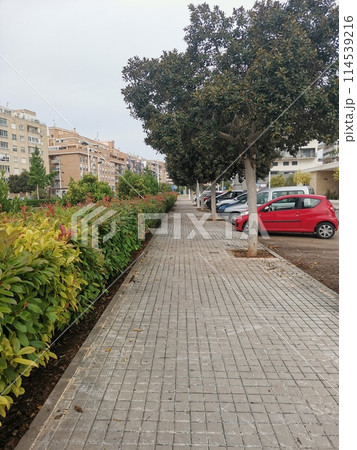 Walking along Alcala Galiano street in Puerto de Sagunto Walking along Alcala Galiano street in Puerto de Sagunto 114539216