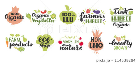 Organic fruits and veggies labels. Vegetarian fruits, vegetables lettering badges. Fresh ecological products 114539284