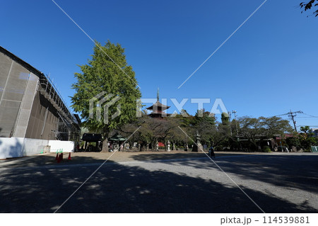 中山法華経寺訪問 中山法華経寺訪問 114539881