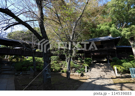 中山法華経寺訪問 114539883