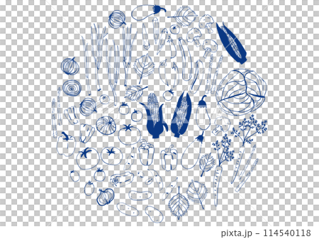 簡單的深藍色蔬菜套裝 簡單的深藍色蔬菜套裝 114540118