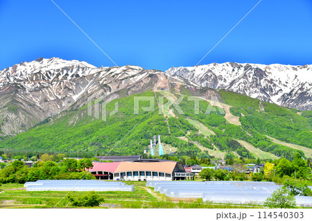 唐松岳／八方尾根方面を望む(長野県白馬村)【2024.5】 114540303