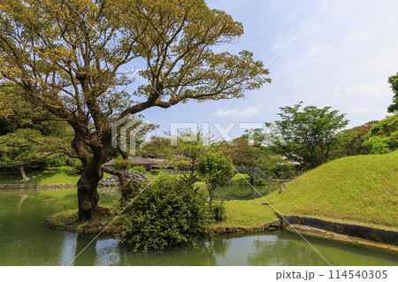 世界遺産 沖縄 識名園(琉球式庭園) 世界遺産 沖縄 識名園(琉球式庭園) 114540305