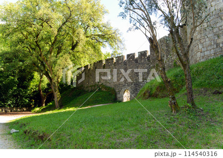 A medieval castle on a bright sunny day. 114540316