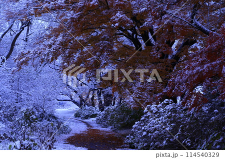 岩手県北上市 秋のみちのく民俗村 岩手県北上市 秋のみちのく民俗村 114540329