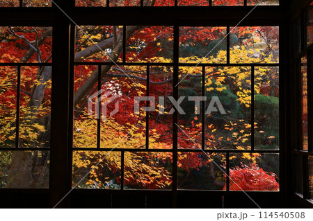 紅葉の南昌荘 紅葉の南昌荘 114540508