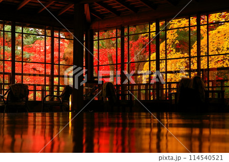 紅葉の南昌荘 114540521