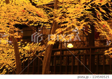 紅葉の南昌荘 114540525