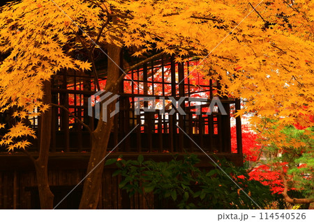 紅葉の南昌荘 紅葉の南昌荘 114540526