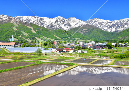 八方尾根~白馬三山方面を望む(長野県白馬村)【2024.5】 八方尾根~白馬三山方面を望む(長野県白馬村)【2024.5】 114540544