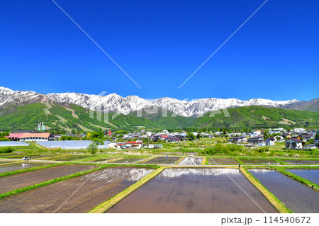八方尾根~白馬三山方面を望む(長野県白馬村)【2024.5】 八方尾根~白馬三山方面を望む(長野県白馬村)【2024.5】 114540672