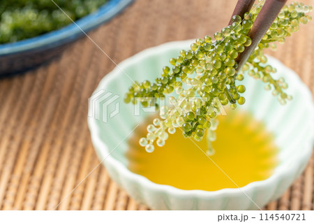 タレにつける海ぶどう 114540721