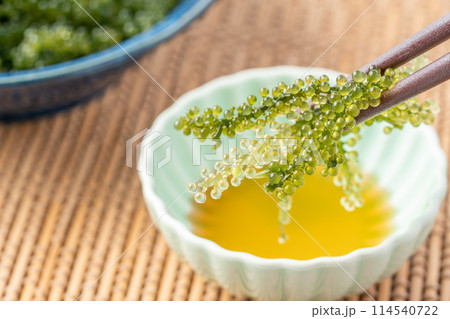 タレにつける海ぶどう 114540722