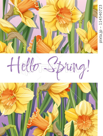 Greeting card template with spring flowers. Banner, poster with daffodils. Easter illustration of delicate flowers in cartoon style for card, invitation, background, etc. 114540723