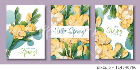 Set of greeting card templates with spring flowers. Banner, poster with purple and yellow freesia. Vector illustration of delicate flowers in cartoon style for card, invitation, background, etc. 114540760