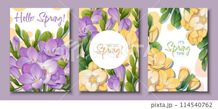 Set of greeting card templates with spring flowers. Banner, poster with purple and yellow freesia. Vector illustration of delicate flowers in cartoon style for card, invitation, background, etc. Set of greeting card templates with spring flowers. Banner, poster with purple and yellow freesia. Vector illustration of delicate flowers in cartoon style for card, invitation, background, etc. 114540762