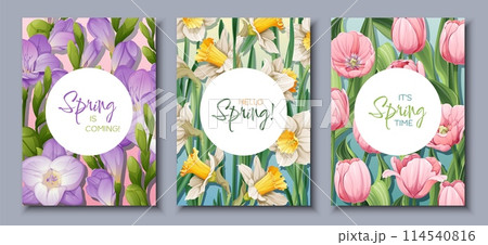 Spring is near with beautiful flower arrangements on three cards 114540816