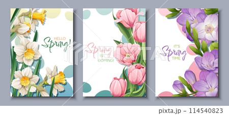 a set of three cards with flowers and the words spring is coming a set of three cards with flowers and the words spring is coming 114540823