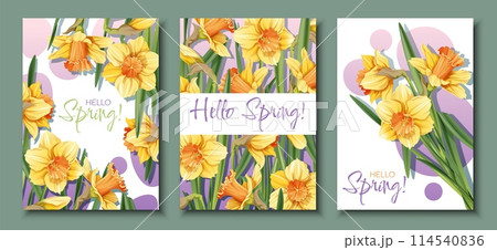 Set of Greeting card templates with spring flowers. Banner, poster with daffodils. Easter illustration of delicate flowers in cartoon style for card, invitation, background, etc. 114540836