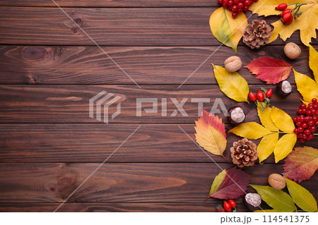 Autumn leaves with berries on a brown background 114541375